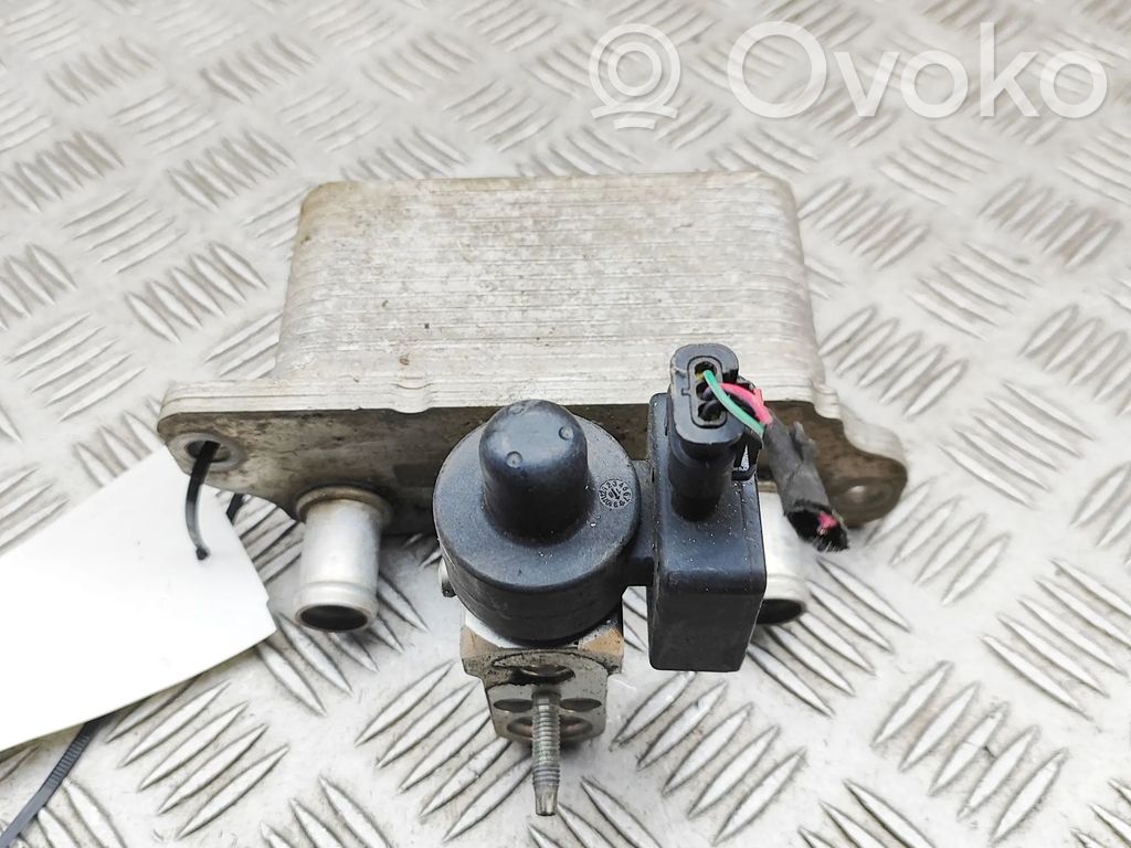 Tesla Model X Hybrid/electric vehicle battery fan 
