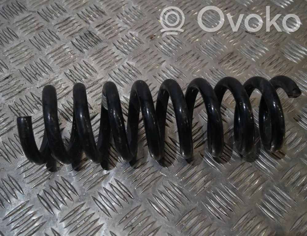 Muelle espiral trasero