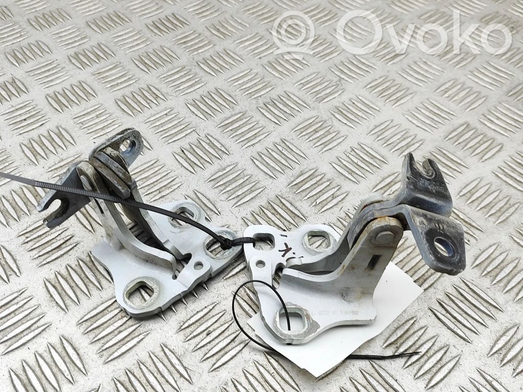 Tesla Model 3 Front door hinges set 