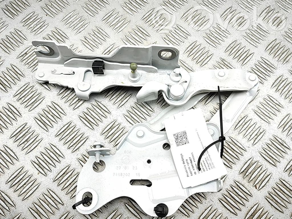 BMW X6 G06 Balamale capotă 