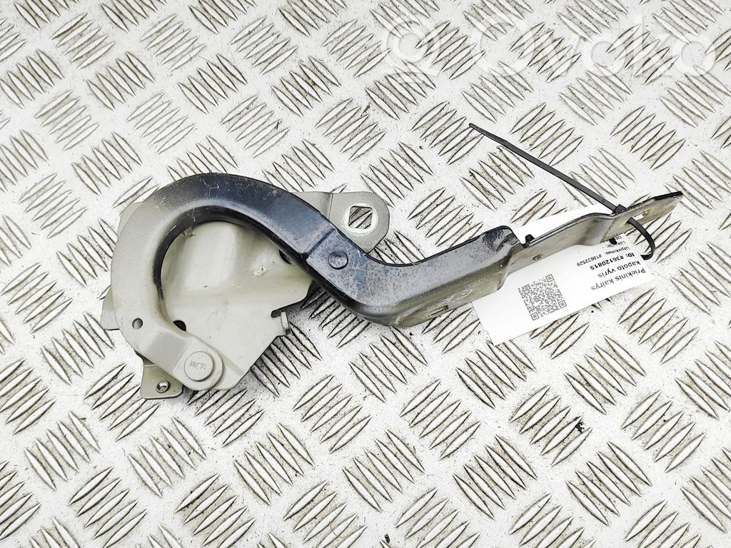 Renault Zoe Balamale capotă 