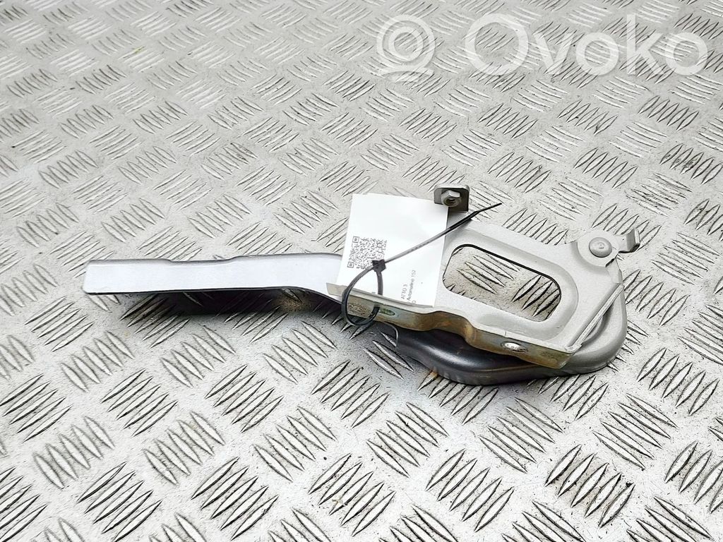 BYD Atto 3 Cerniere del vano motore/cofano 