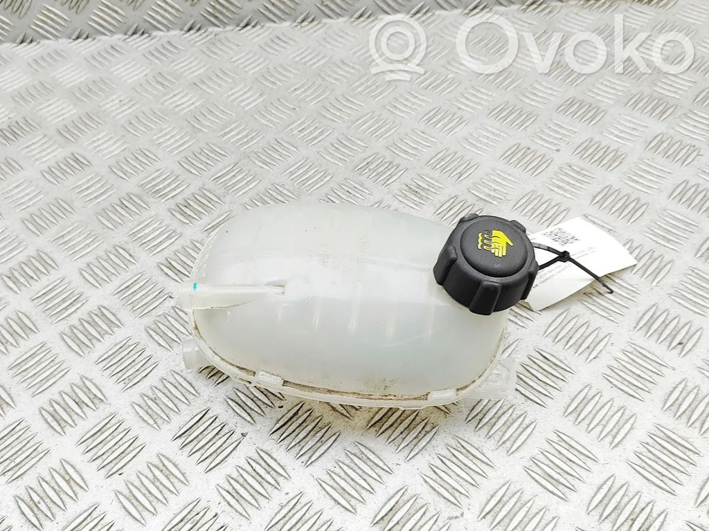 Renault Arkana Vas expansiune/rezervor lichid de răcire 