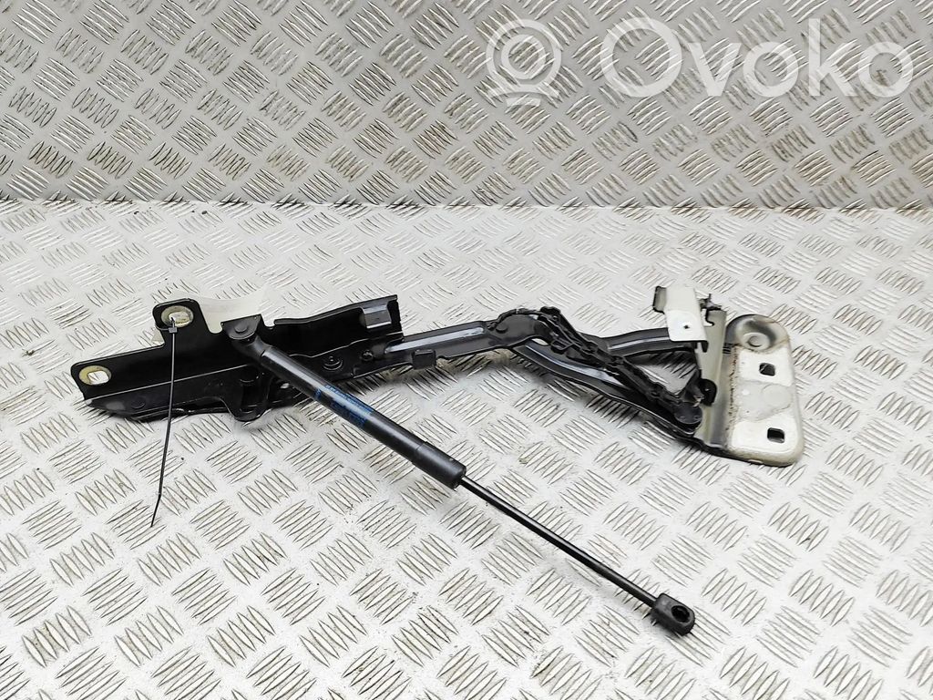 Land Rover Range Rover Evoque L551 Balamale capotă 