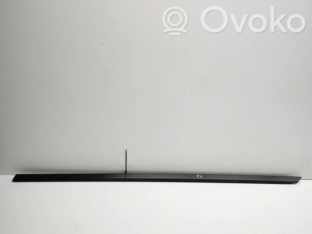 Porsche Panamera (971) Ornament geam ușă față 