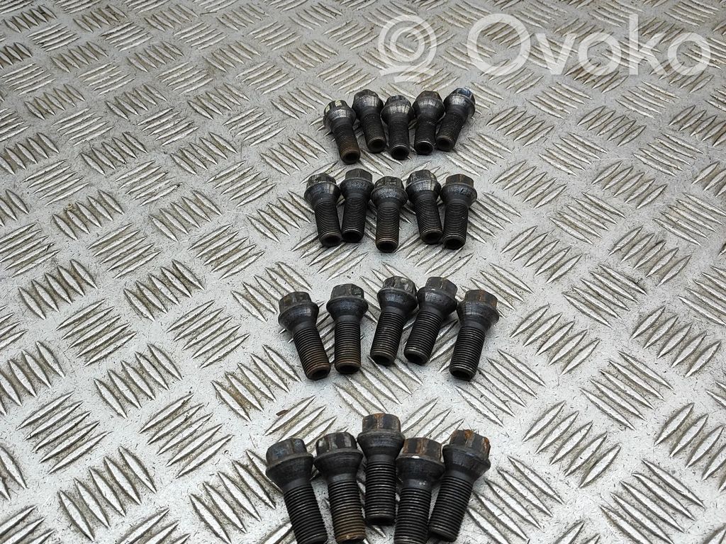Dadi/bulloni   6890324