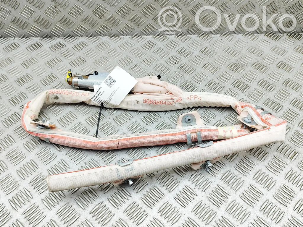 Kopfairbag   308966420AB,GX7314K160BB
