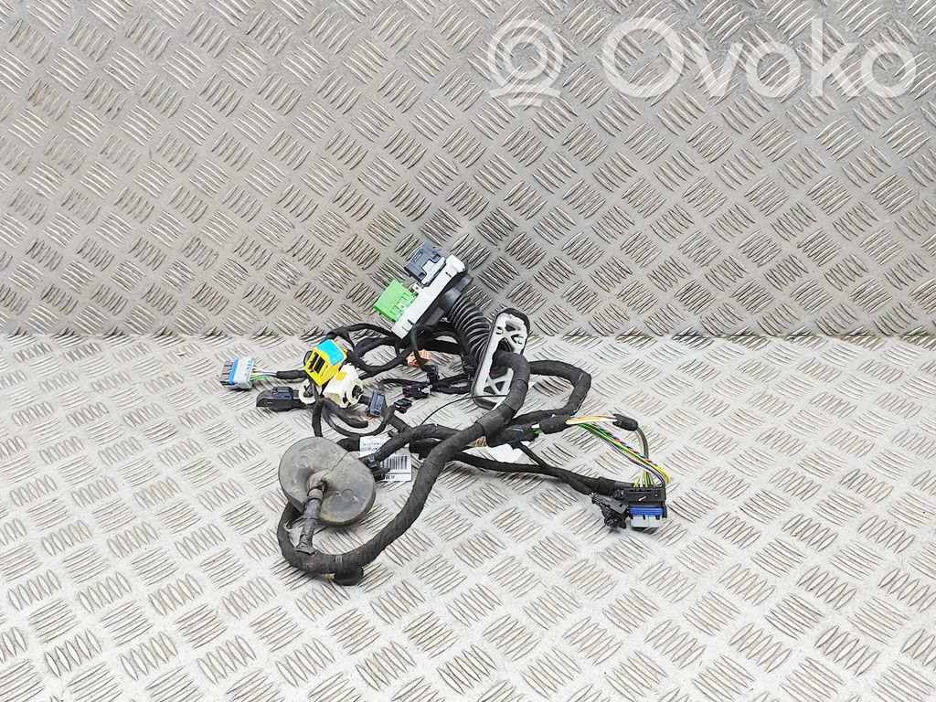 Peugeot 5008 II Cableado de puerta delantera 