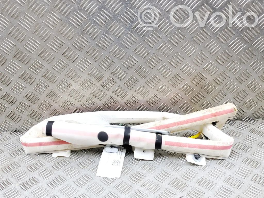 BYD Seal Airbag del techo