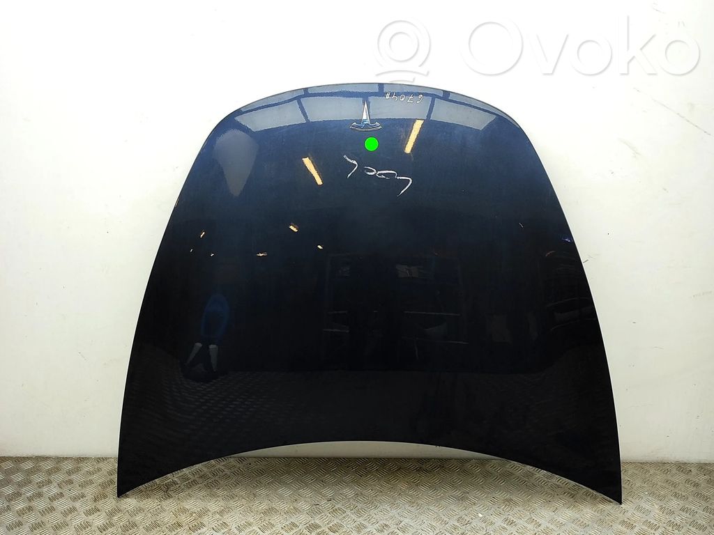 Tesla Model 3 Motorhaube