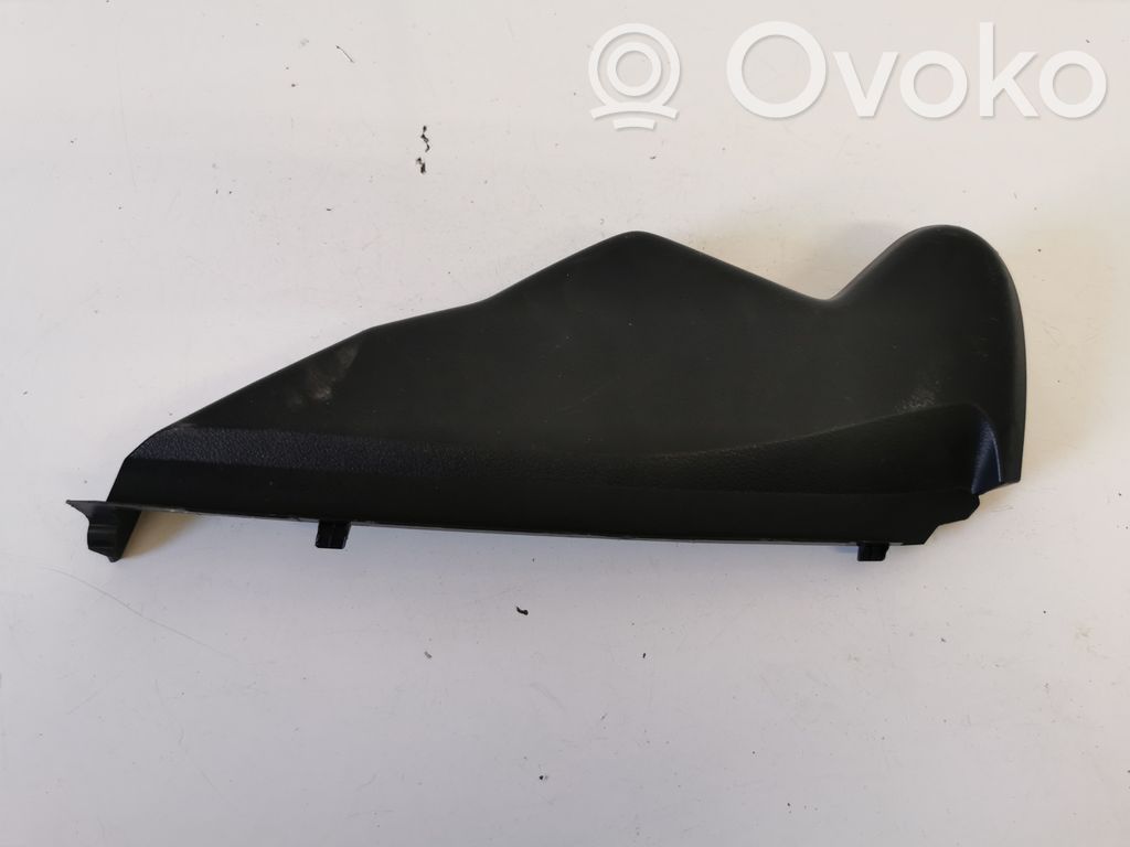 Moldura del panel (Usadas)   5531753100