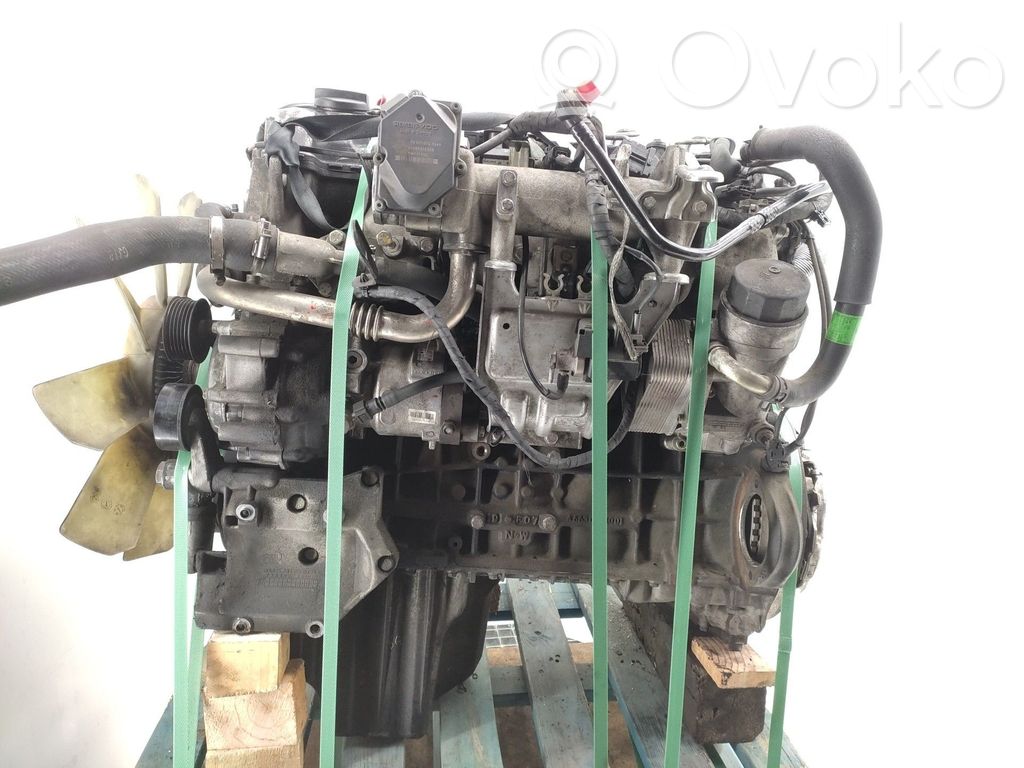 Motor   D27DT