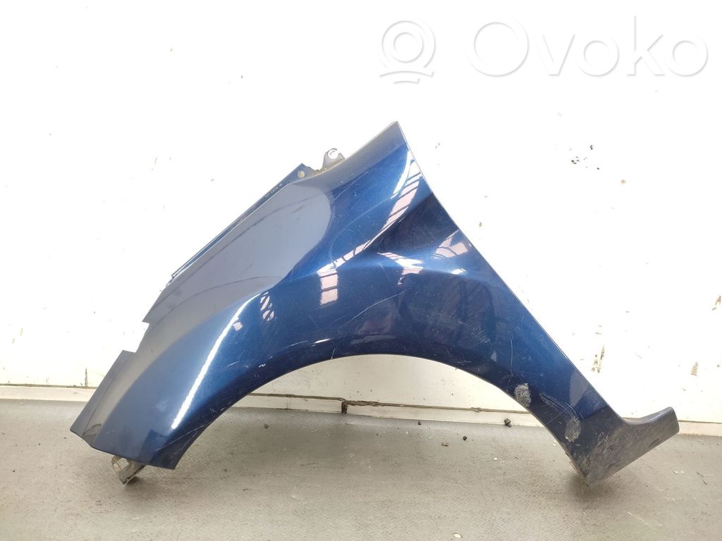 Guardabarro   C1BBA16016AA,1777181