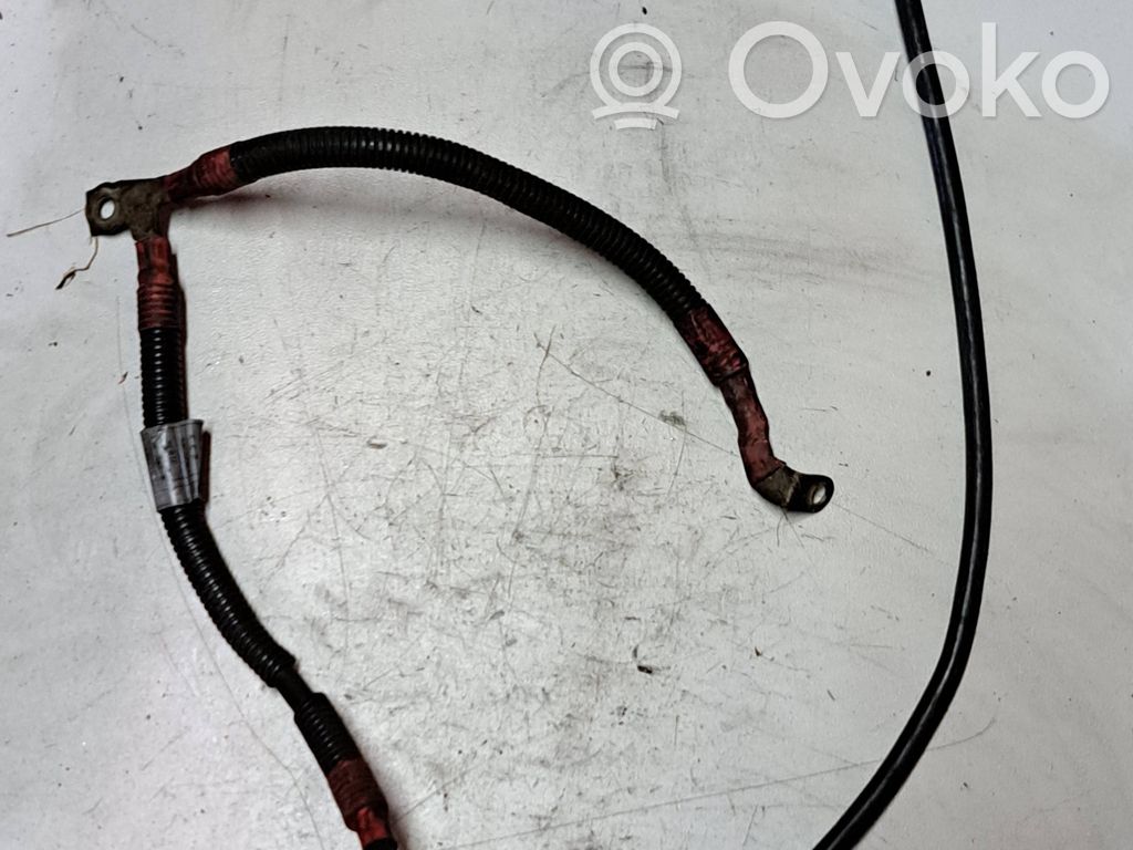 Audi A4 S4 B8 8K Pliusinis laidas (akumuliatoriaus) 