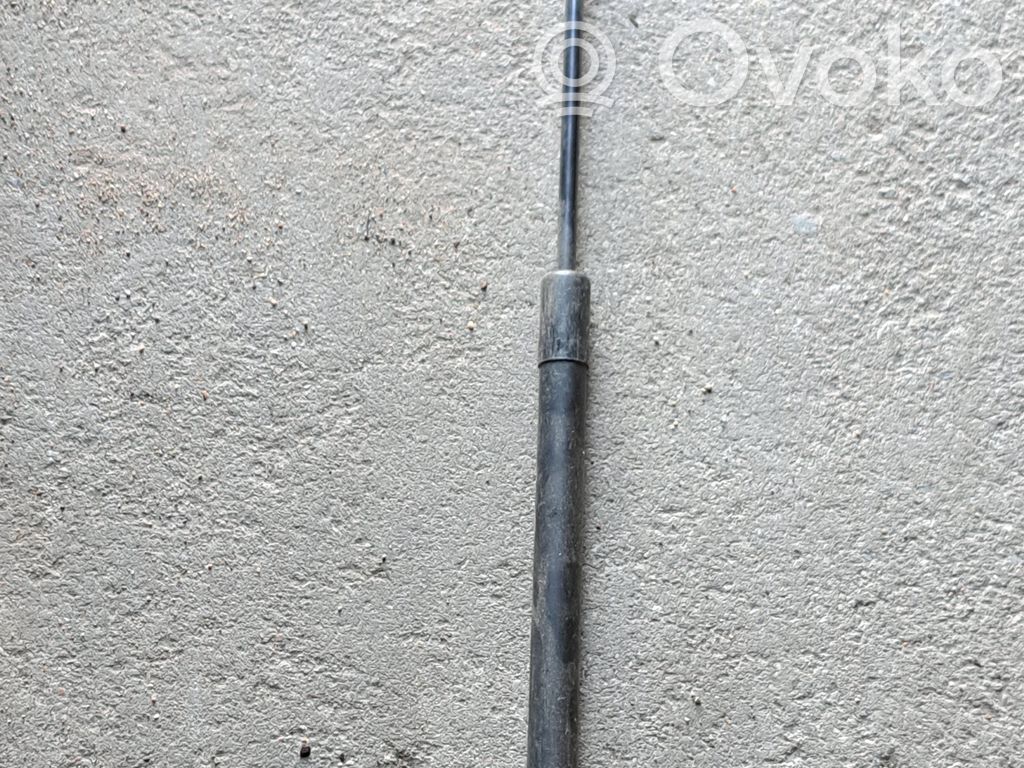 Audi A6 S6 C6 4F Tailgate/trunk strut/damper 