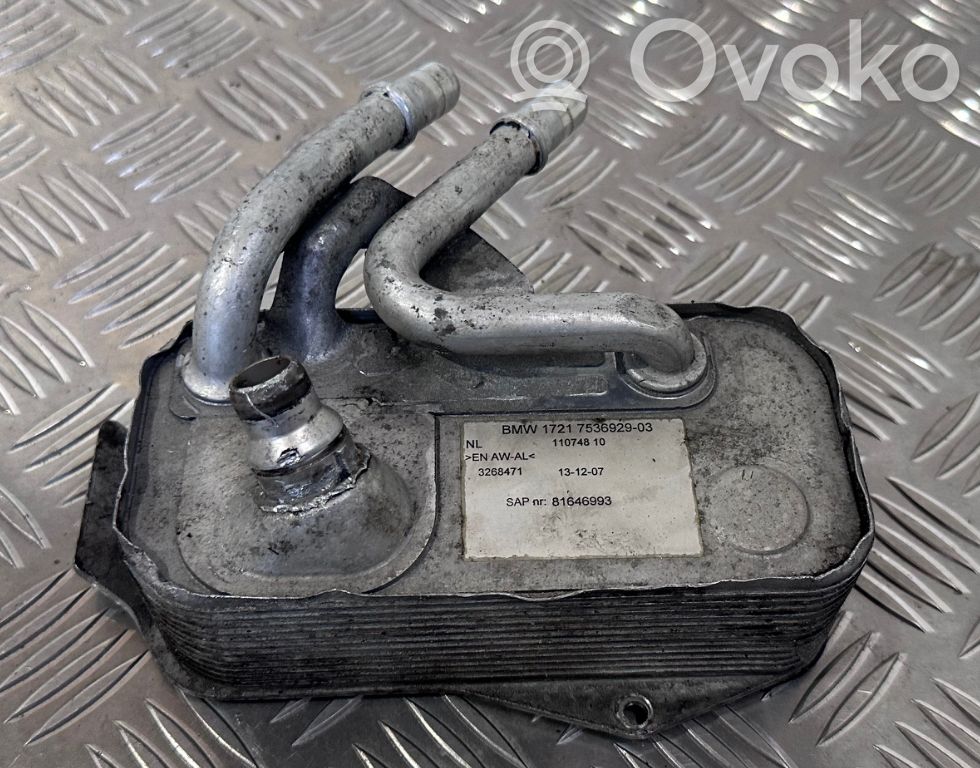 Engine oil radiator   7536929,81646993,11074810