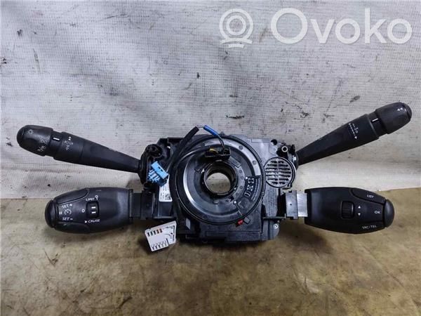 Multifunctional control switch/knob   98312393ZD