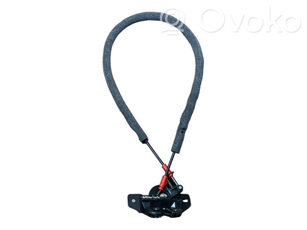 Tailgate/trunk/boot lock/catch/latch   8726C8