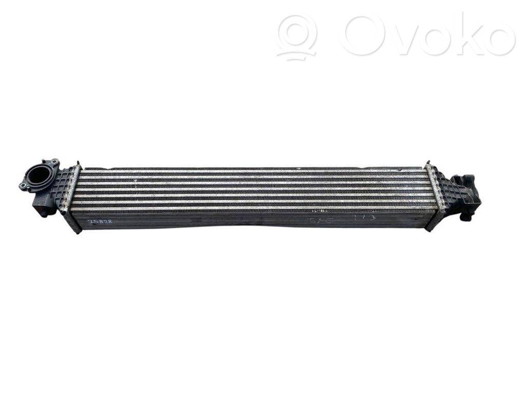 Chłodnica powietrza doładowującego / Intercooler   FN255004,197105AAA01