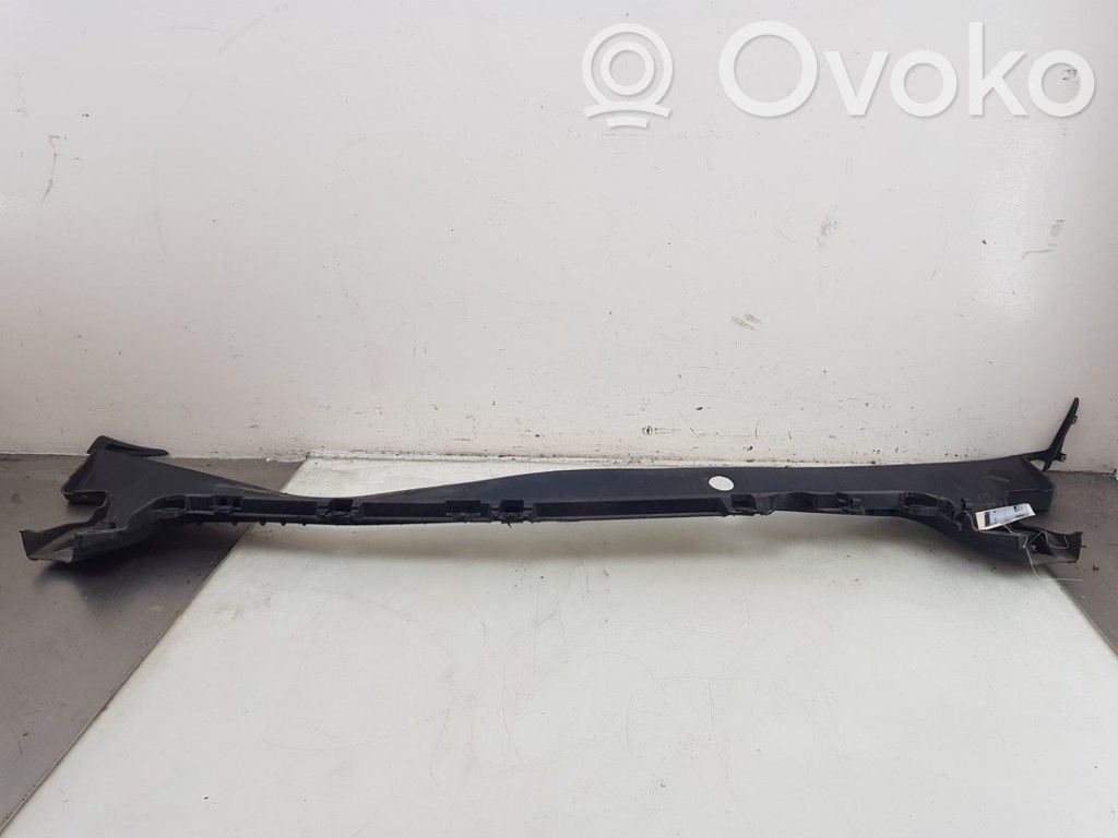 Tesla Model 3 Valytuvų apdaila (-os) 
