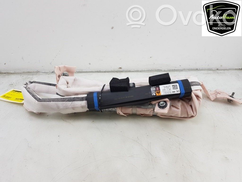 Tesla Model S Airbag del techo 