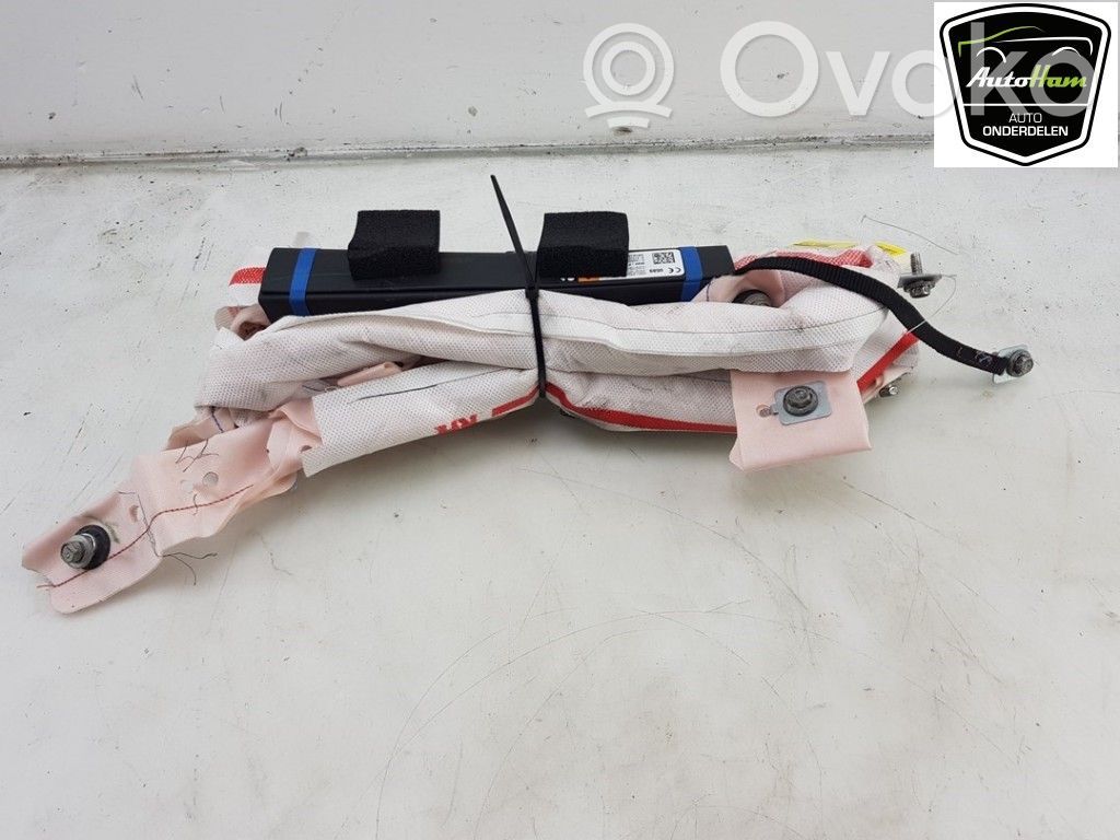Tesla Model S Airbag del techo 