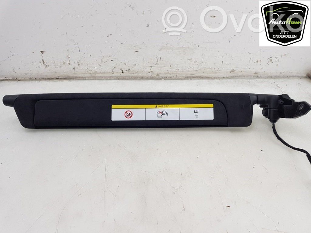 Tesla Model X Sun visor 