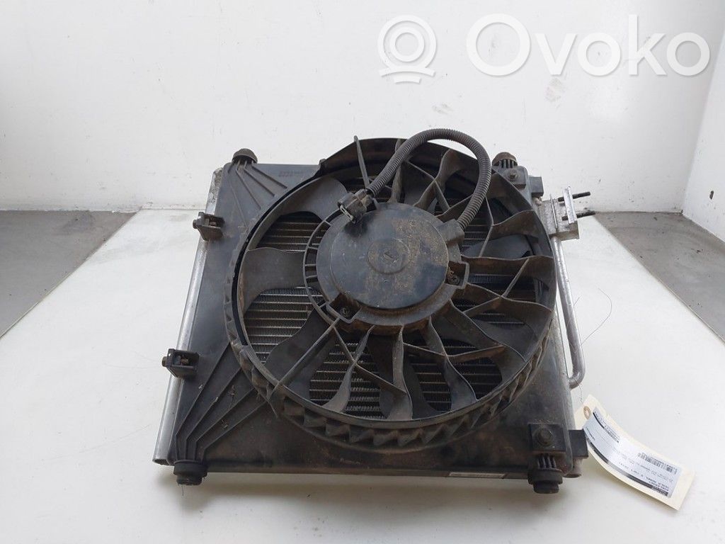 Tesla Model S Radiatorių komplektas 