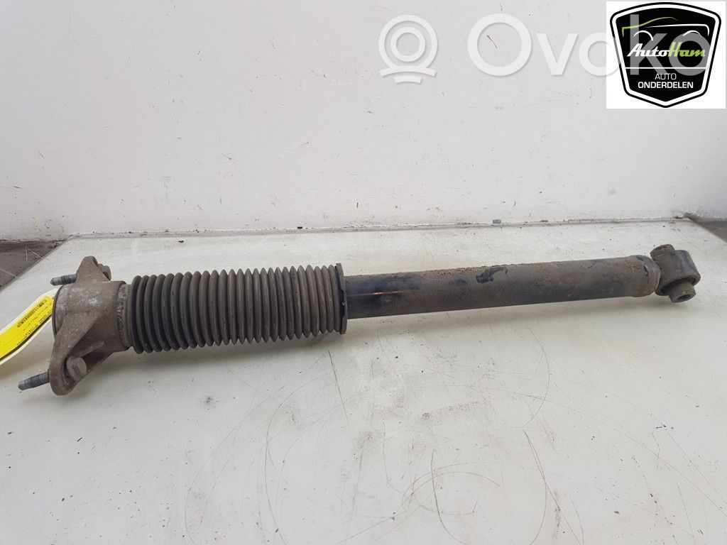 Tesla Model 3 Amortizor spate