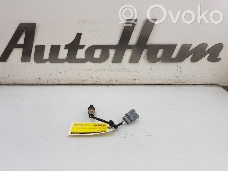 Sonda lambda   55219791,55222781,1754236,55219791,55222781,BS519G444BA