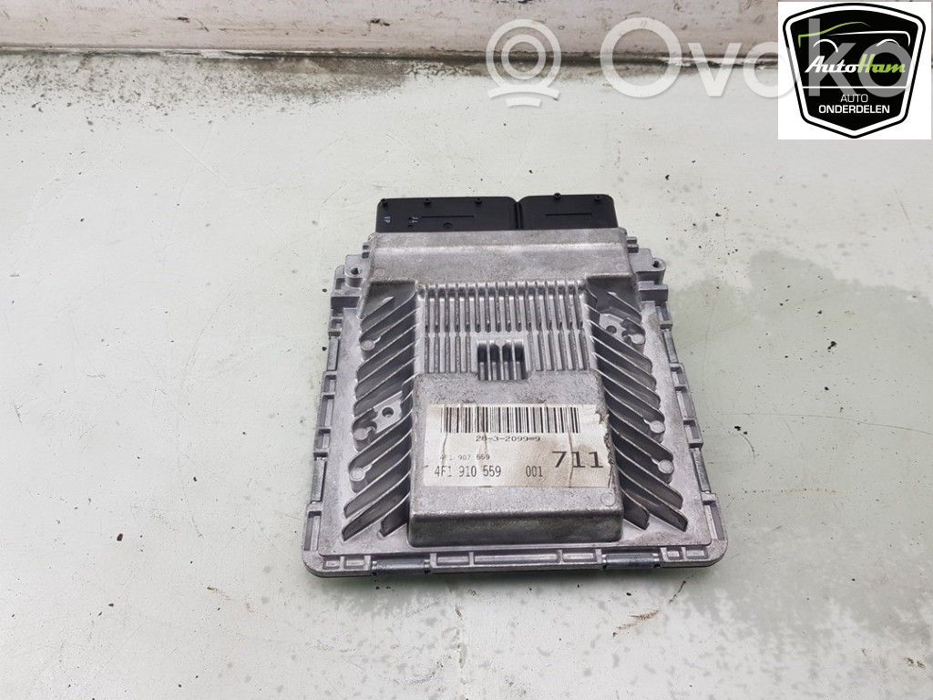 Audi A6 S6 C6 4F Engine control unit/module 