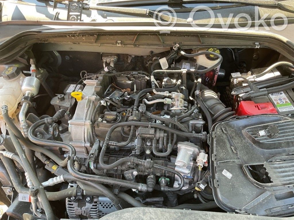 Motor   2522399,2522399,NX6G6006LA,2522399,NX6G6006LA