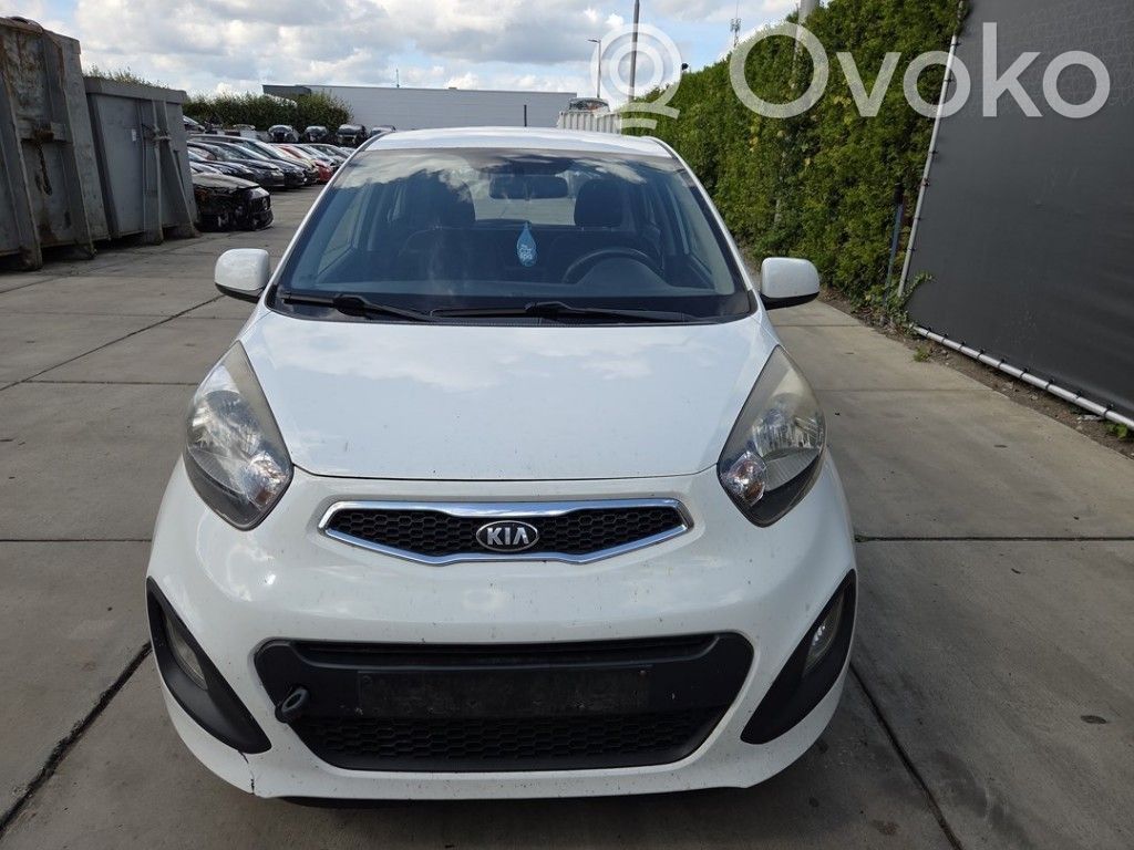 KIA Picanto Sparnas 