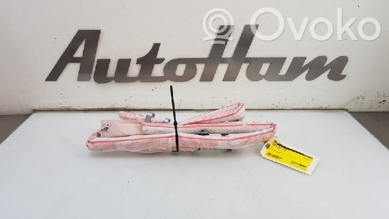 Seat Toledo IV (NH) Airbag de toit 