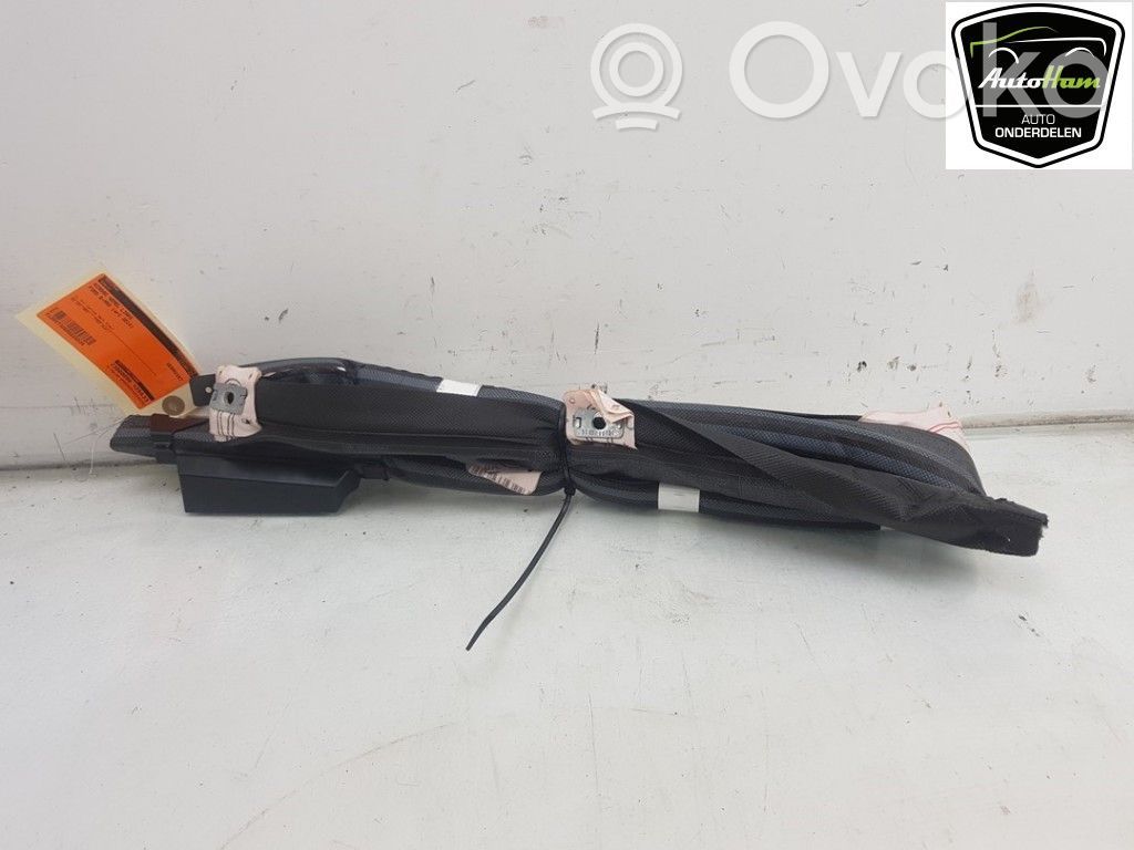 Ford B-MAX Airbag del techo 