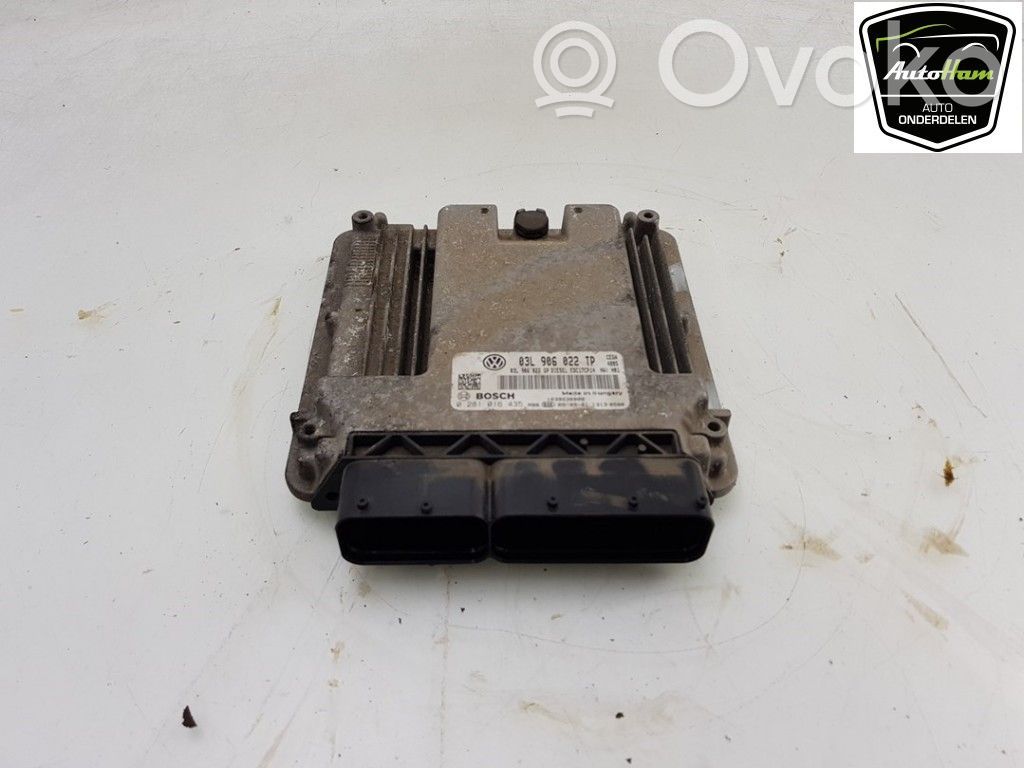 Seat Leon (1P) Unitate/modul de control motor 