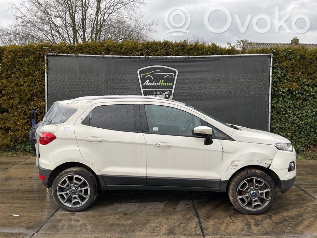 Ford Ecosport Двигатель 