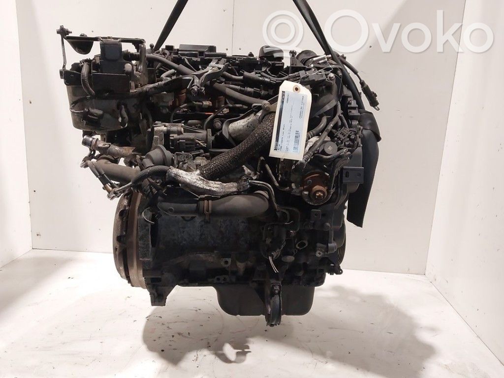 Ford Fiesta Engine