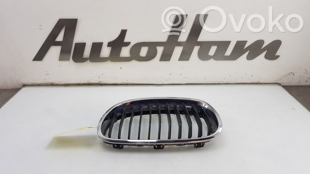 BMW 1 F20 F21 Kühlergrill 
