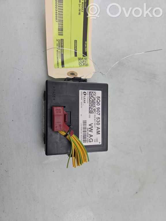 Volkswagen Tiguan Modulo di controllo accesso 