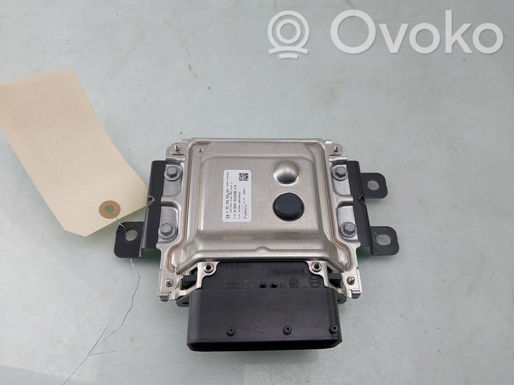 Ford Transit -  Tourneo Connect Adblue control unit 