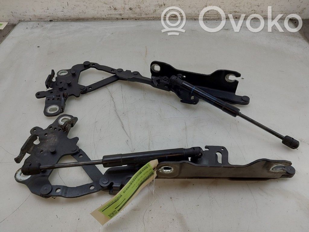 BMW 1 F20 F21 Cerniere del vano motore/cofano 