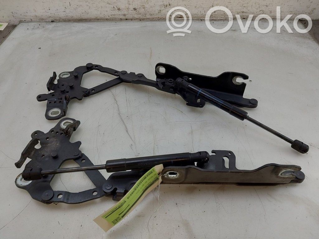 BMW 1 F20 F21 Cerniere del vano motore/cofano 