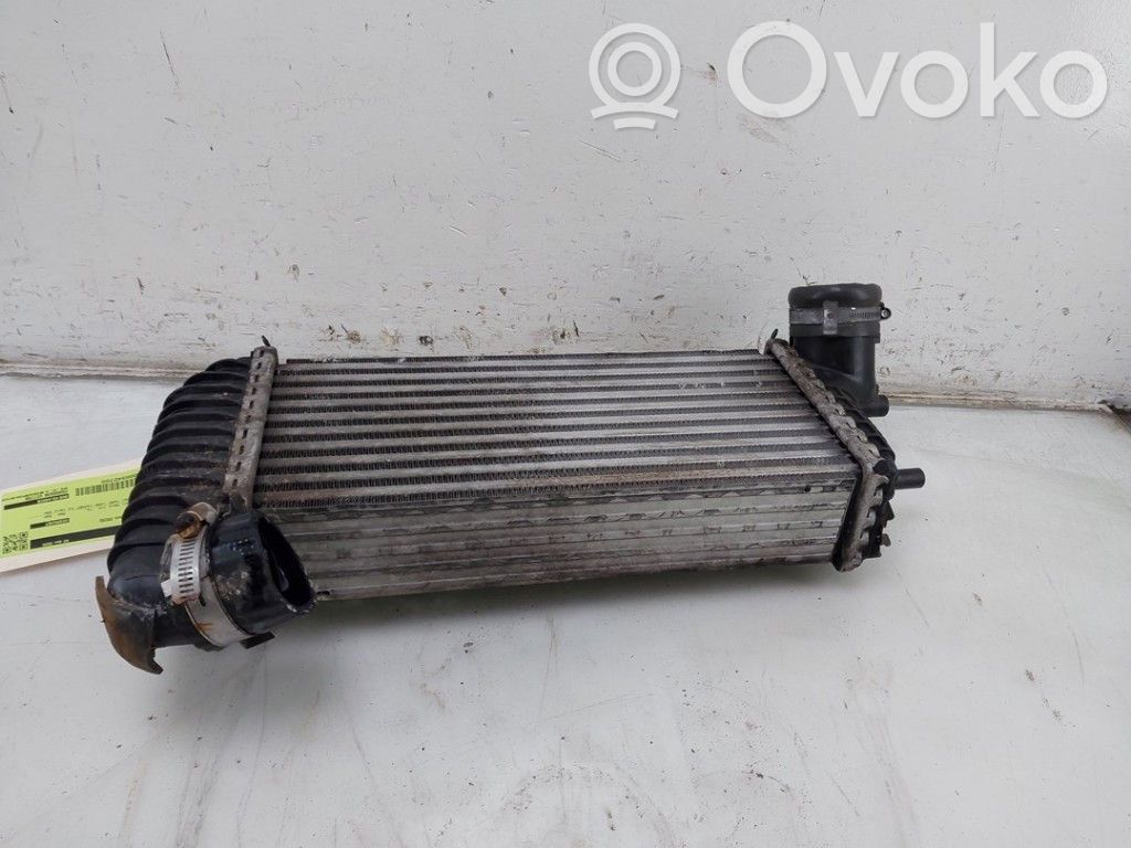 Ford Transit - Tourneo Connect Chłodnica powietrza doładowującego / Intercooler