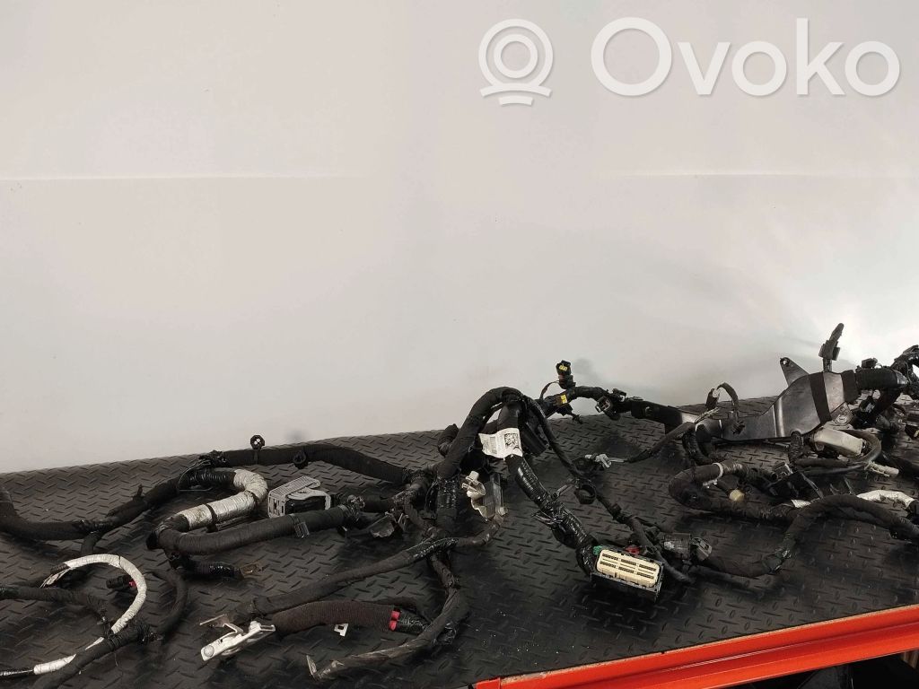 Dodge RAM Cablaj motor 