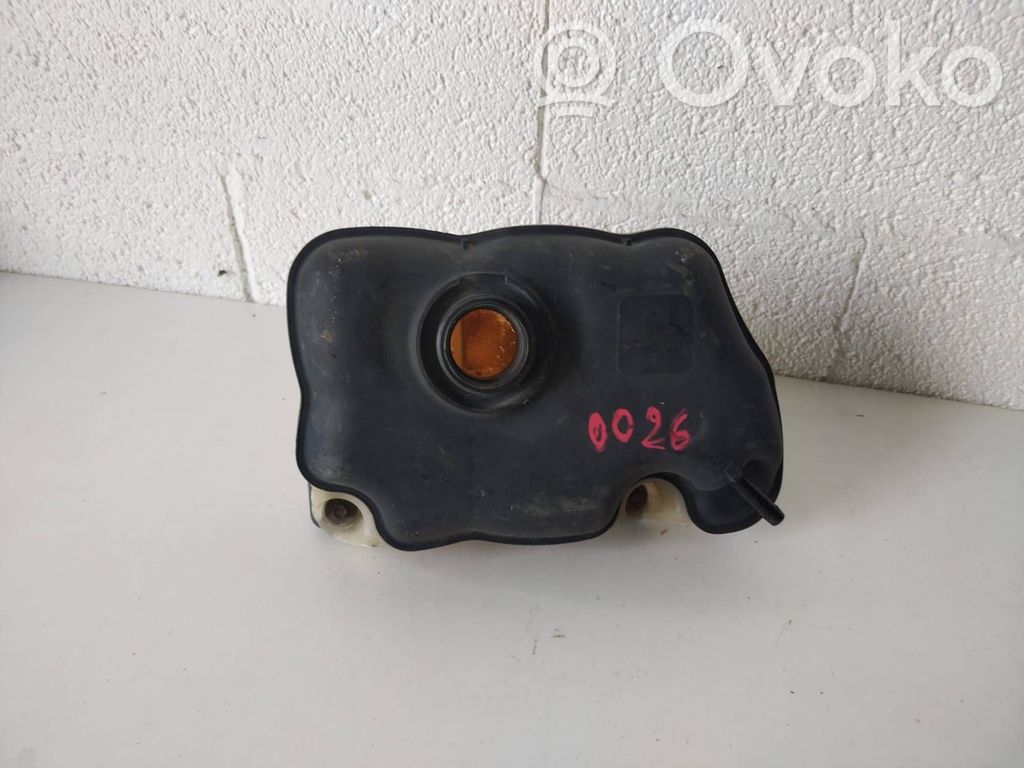 Ford Mustang V Vas expansiune/rezervor lichid de răcire 