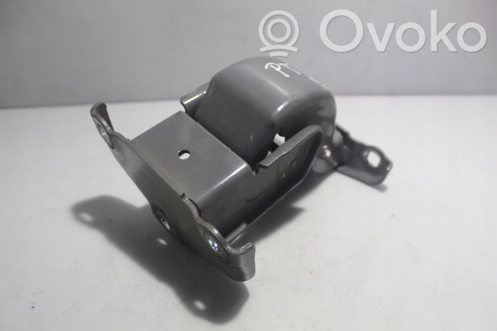 Rear door hinge set