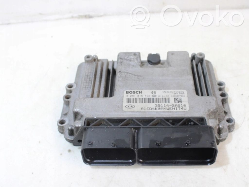 KIA Ceed Galios (ECU) modulis 