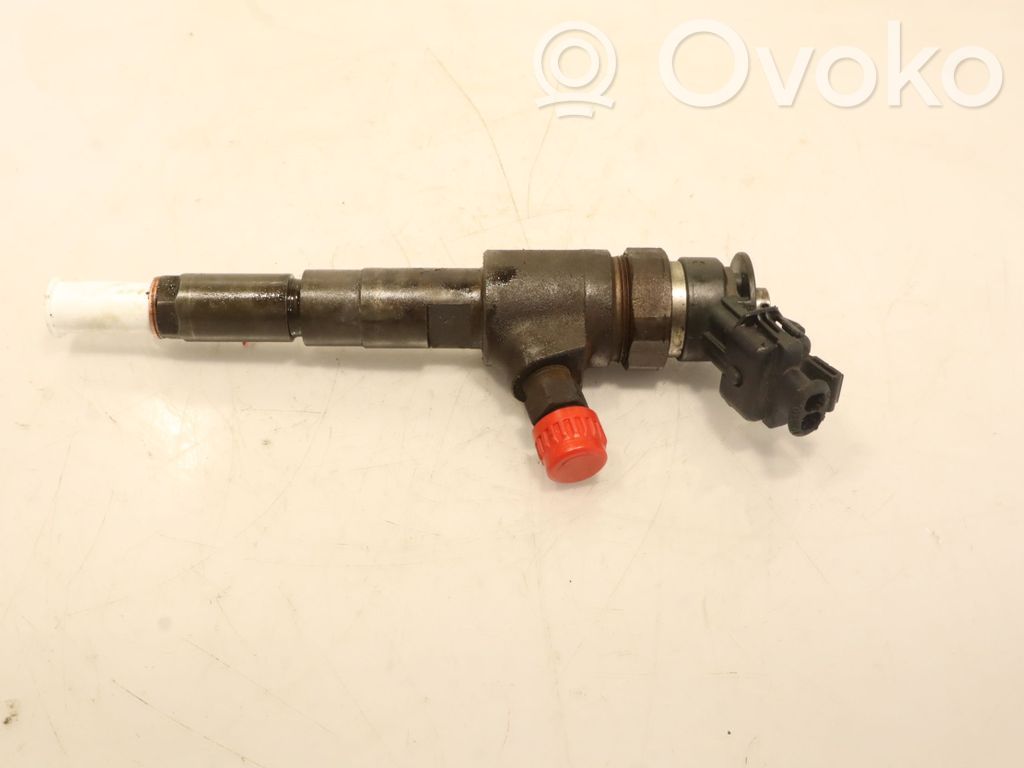 Peugeot 206 Injector combustibil 