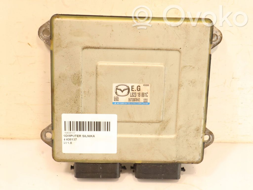 Motorsteuergerät ECU